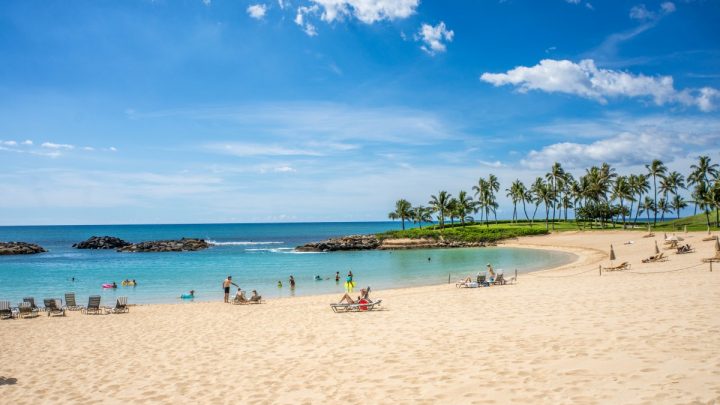 Partir en vacances à Hawaii pour profiter de ses belles plages et du soleil