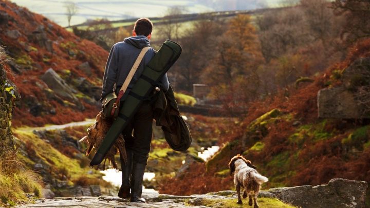 Comment fonctionne l’assurance santé pour chien ?